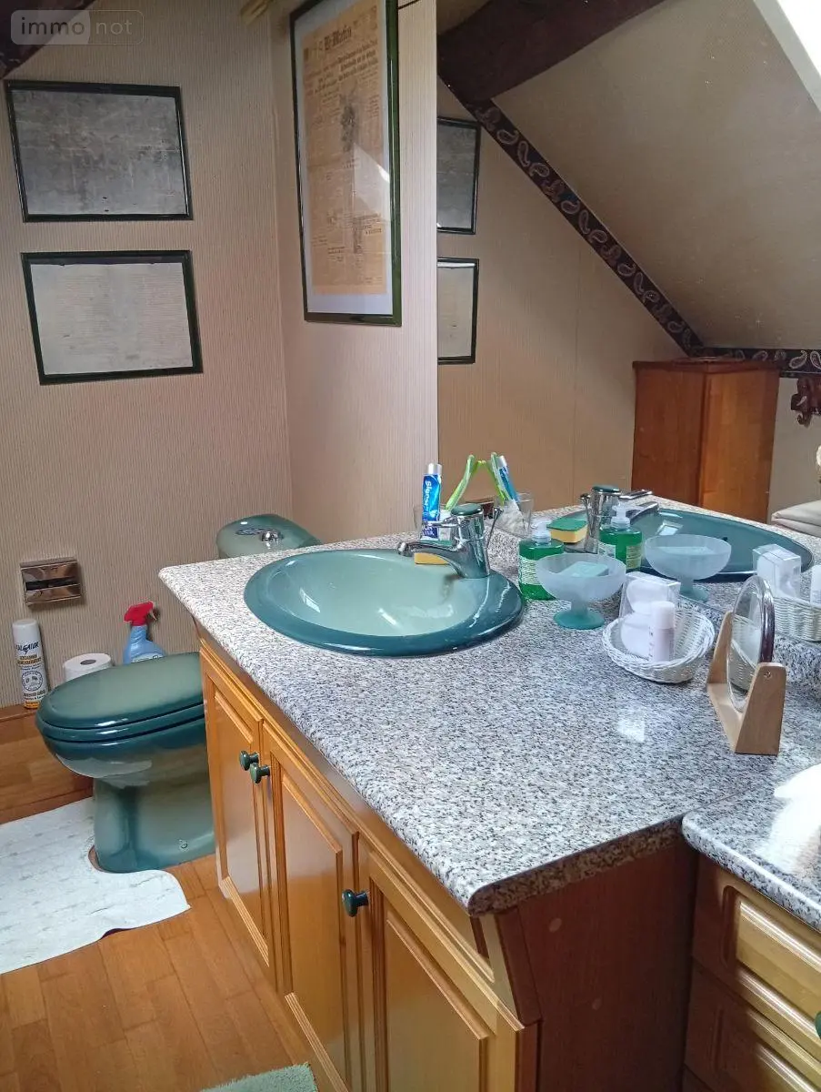 Maison a vendre Baccon 45130 Loiret 45 159 m2 8 pièces 398800 euros 091/1516 022