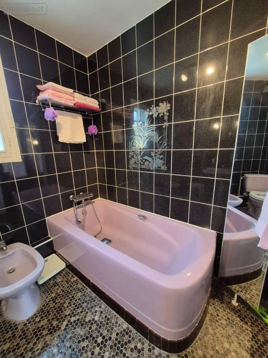 Maison a vendre Baccon 45130 Loiret 45 159 m2 8 pièces 398800 euros 091/1516 060