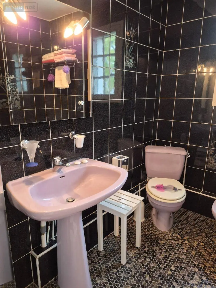 Maison a vendre Baccon 45130 Loiret 45 159 m2 8 pièces 398800 euros 091/1516 061