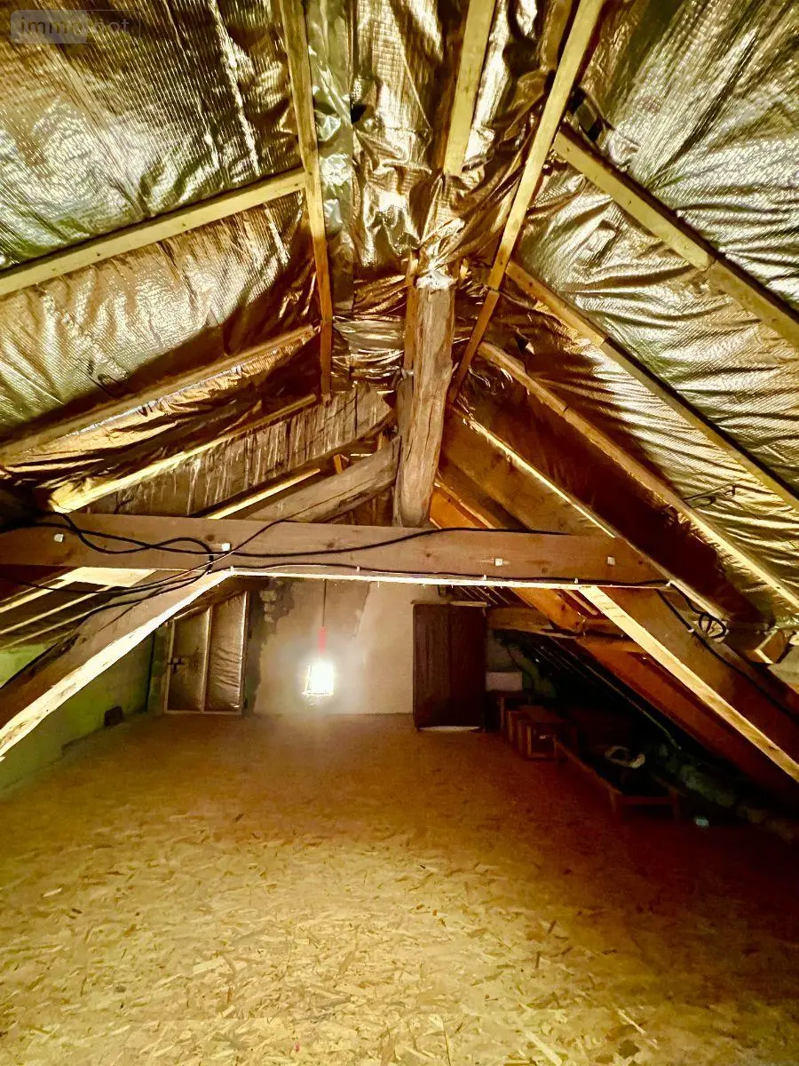 Maison a vendre Écueillé 36240 Indre 36 200 m2 7 pièces 283000 euros 016/459 026