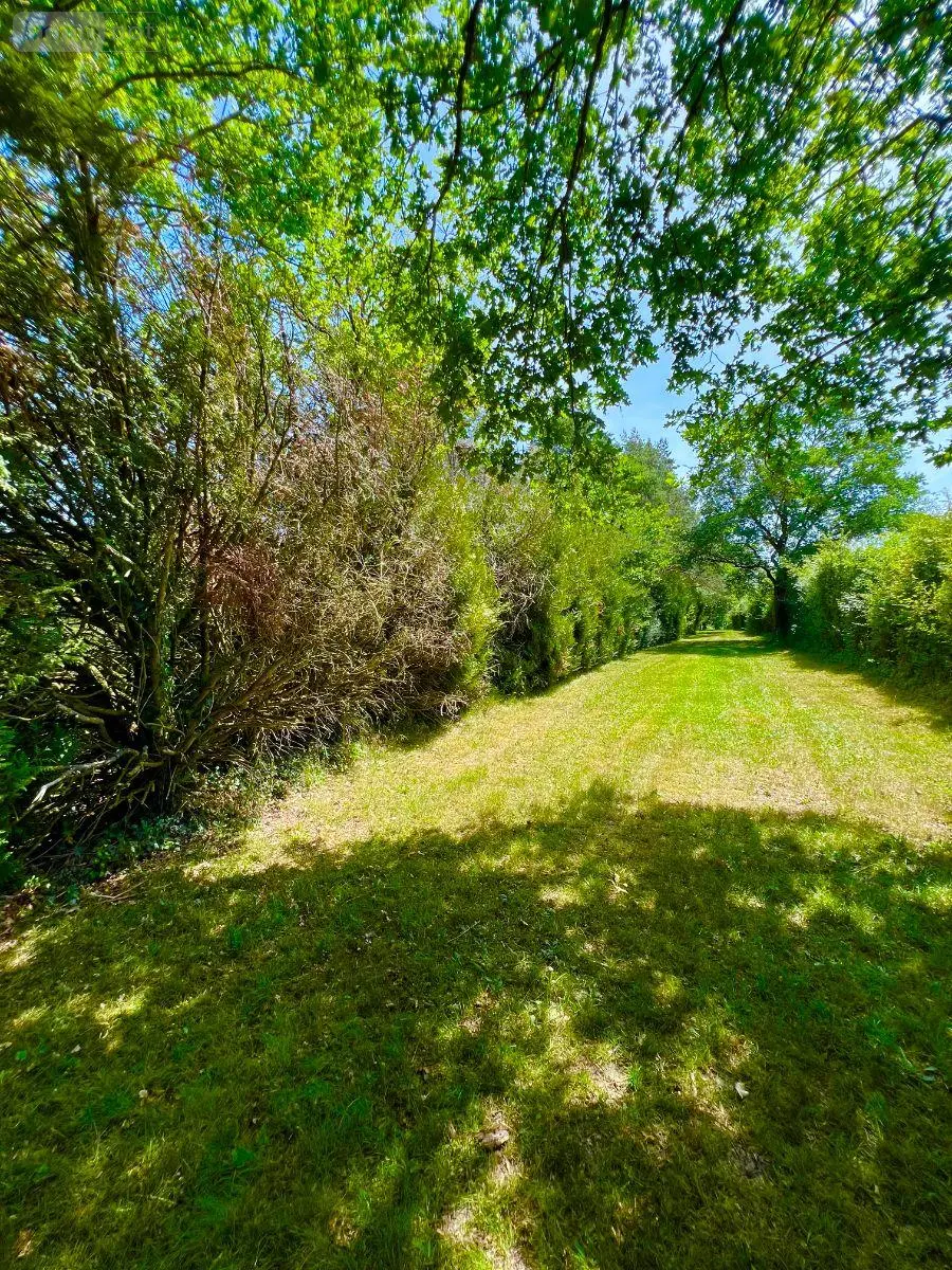 Maison a vendre Écueillé 36240 Indre 36 200 m2 7 pièces 283000 euros 016/459 024