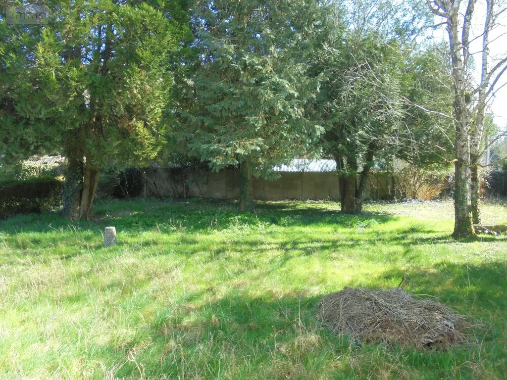 Maison a vendre Josnes 41370 Loir-et-Cher 41 150 m2 5 pièces 147300 euros 091/1518 012