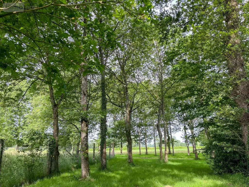 Maison a vendre Hédé-Bazouges 35630 Ille-et-Vilaine 35 165 m2 5 pièces 448000 euros 020/650 004