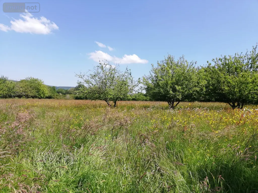 Terrains de loisirs bois etangs a vendre Villaines-la-Juhel 53700 Mayenne 53 31800 euros 1395 003