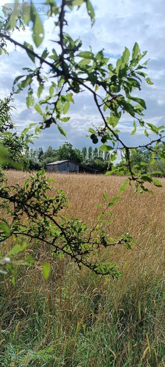 Terrains de loisirs bois etangs a vendre Villaines-la-Juhel 53700 Mayenne 53 31800 euros 1395 005