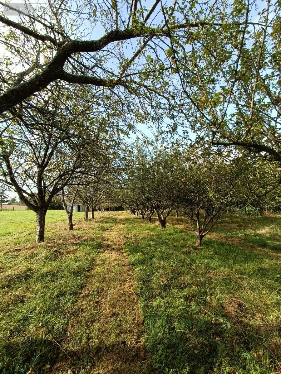 Terrains de loisirs bois etangs a vendre Villaines-la-Juhel 53700 Mayenne 53 31800 euros 1395 011