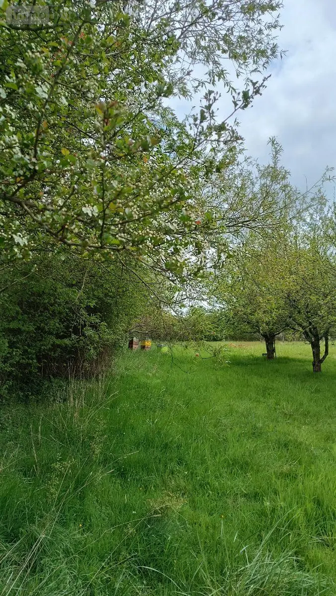 Terrains de loisirs bois etangs a vendre Villaines-la-Juhel 53700 Mayenne 53 31800 euros 1395 012