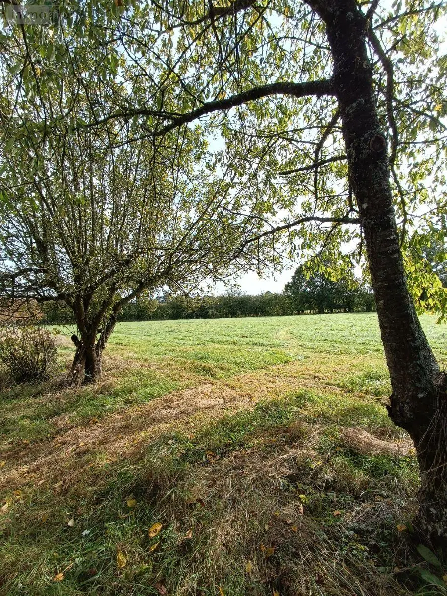 Terrains de loisirs bois etangs a vendre Villaines-la-Juhel 53700 Mayenne 53 31800 euros 1395 013