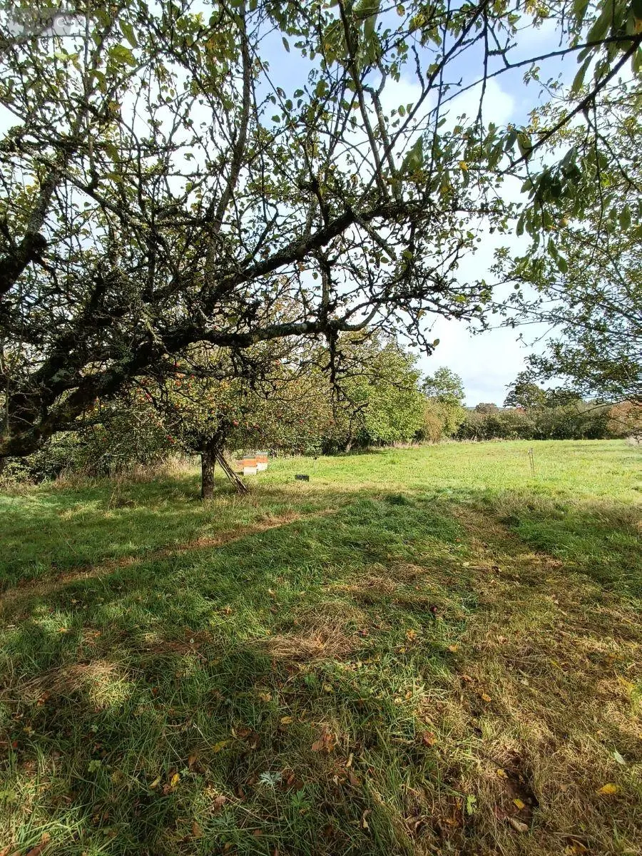 Terrains de loisirs bois etangs a vendre Villaines-la-Juhel 53700 Mayenne 53 31800 euros 1395 014
