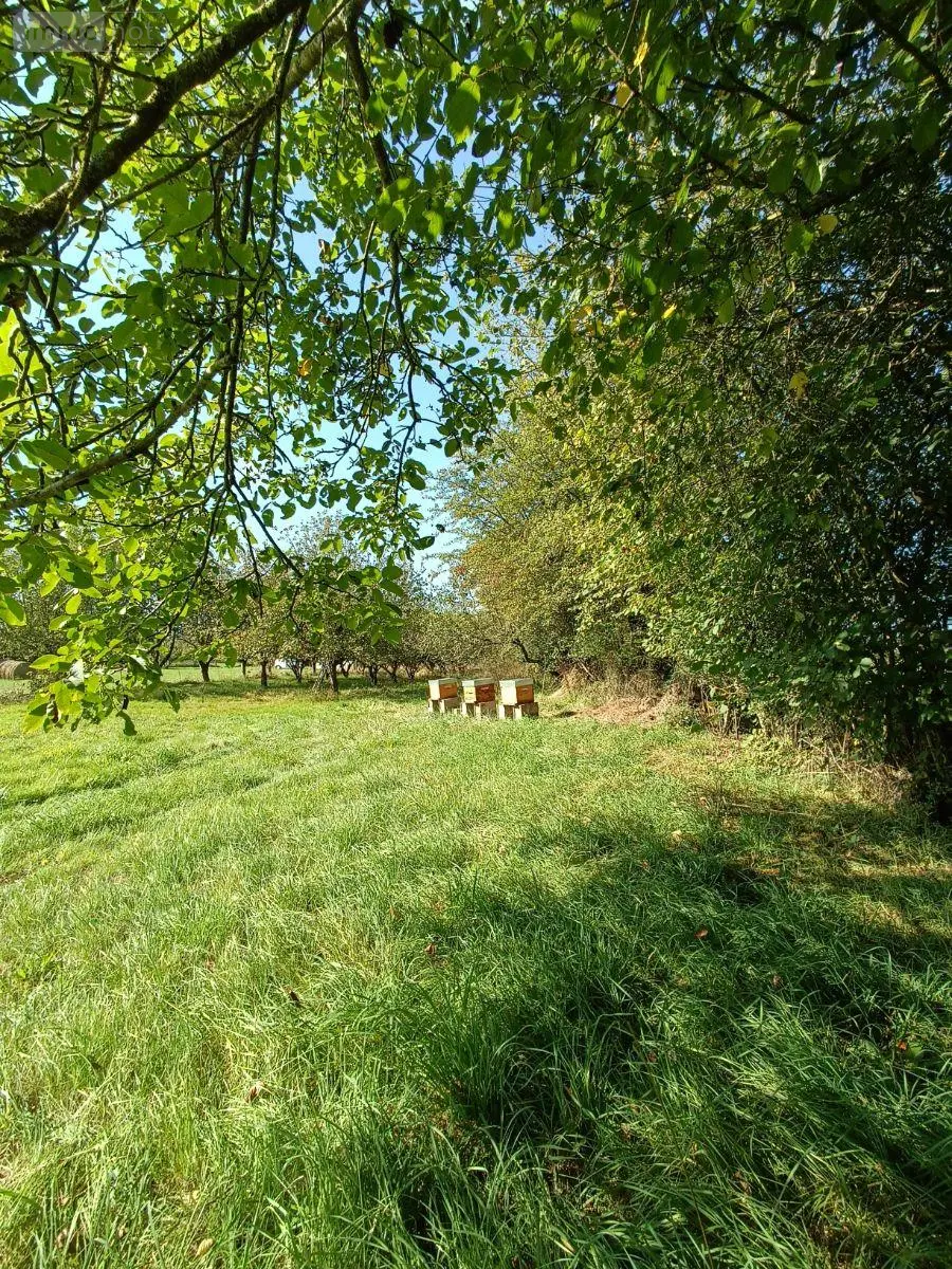 Terrains de loisirs bois etangs a vendre Villaines-la-Juhel 53700 Mayenne 53 31800 euros 1395 015