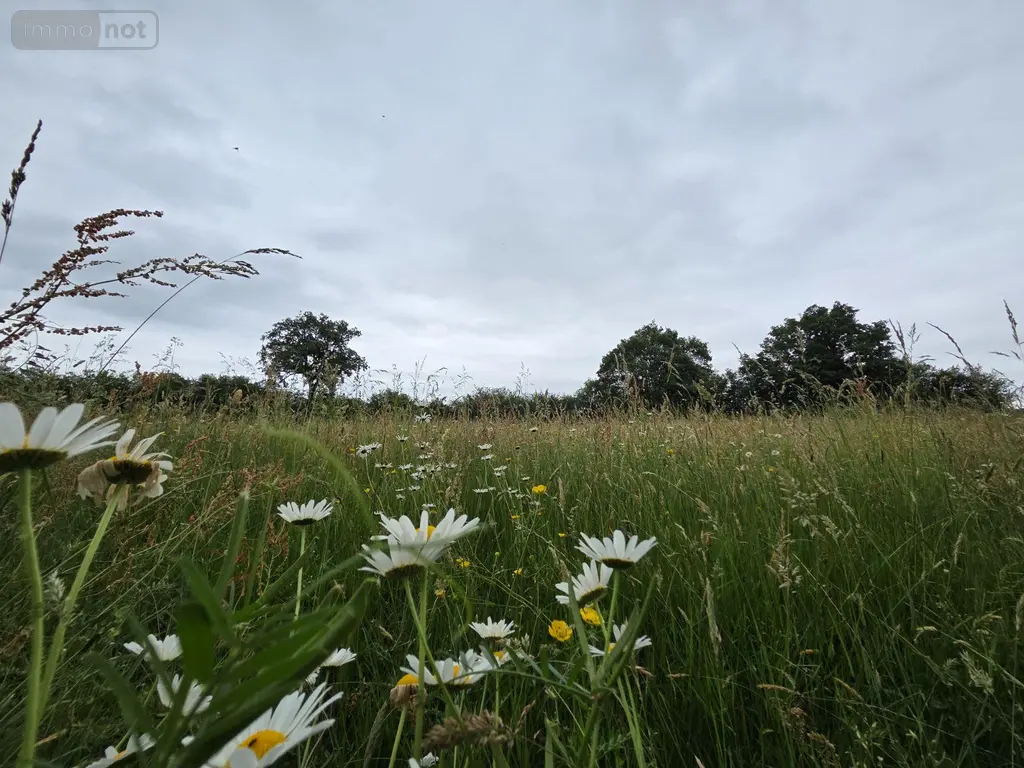 Terrains de loisirs bois etangs a vendre Villaines-la-Juhel 53700 Mayenne 53 31800 euros 1395 018