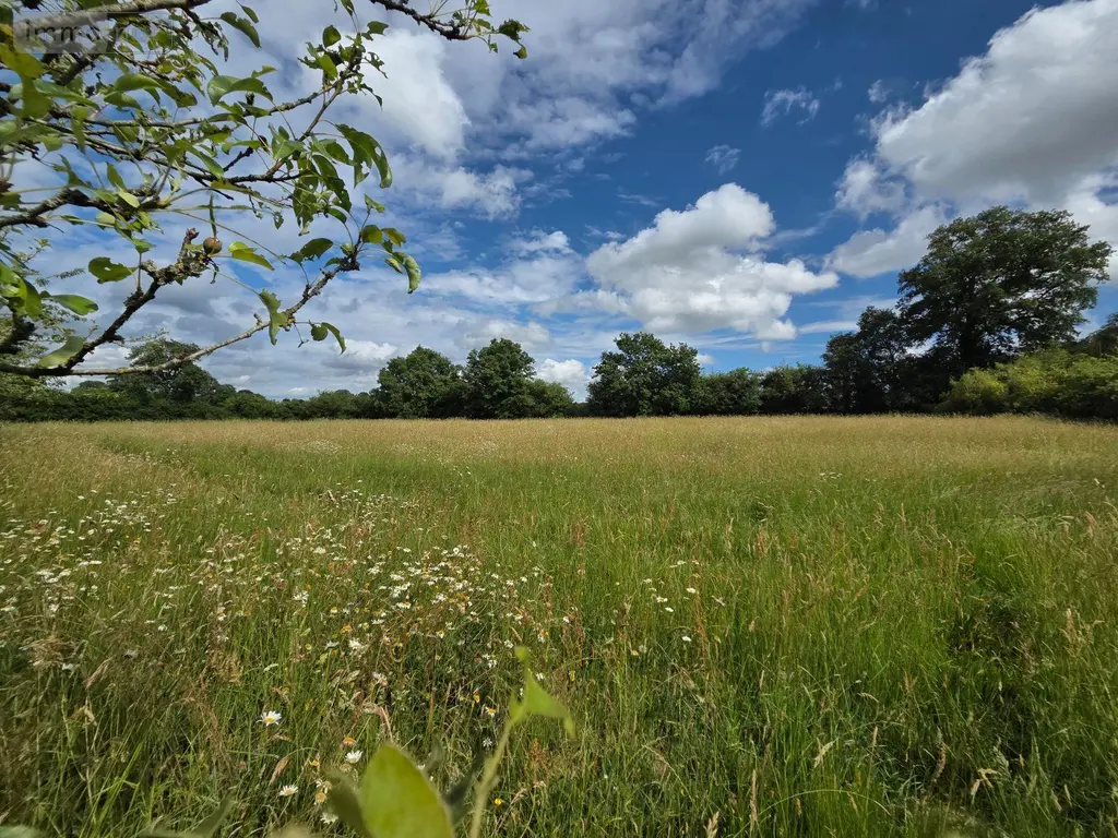 Terrains de loisirs bois etangs a vendre Villaines-la-Juhel 53700 Mayenne 53 31800 euros 1395 023