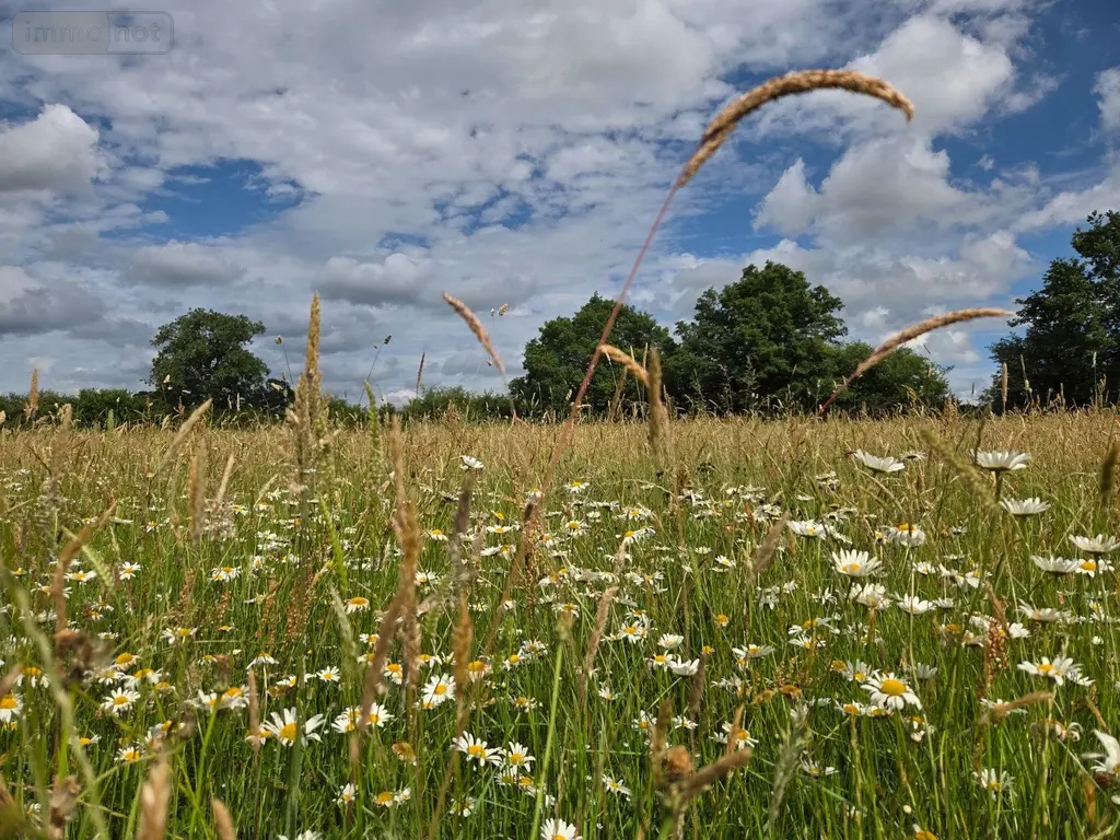 Terrains de loisirs bois etangs a vendre Villaines-la-Juhel 53700 Mayenne 53 31800 euros 1395 026