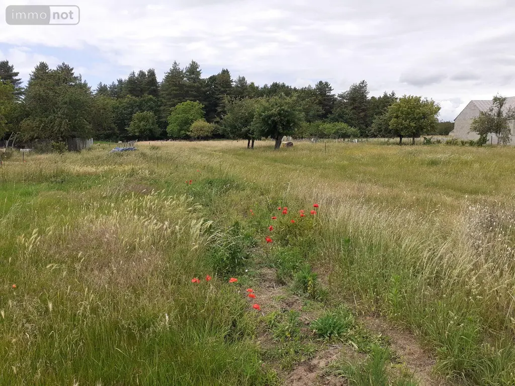 Terrain a batir a vendre Écommoy 72220 Sarthe 72 803 m2 54000 euros 023/2132 002