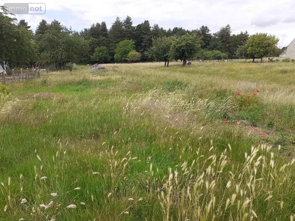 Terrain a batir a vendre Écommoy 72220 Sarthe 72 803 m2 54000 euros 023/2132 001