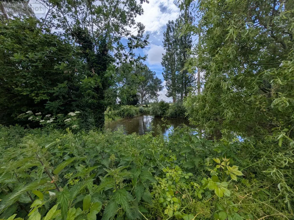 Maison a vendre Wormhout 59470 Nord 59 175 m2 6 pièces 430000 euros W4056 006