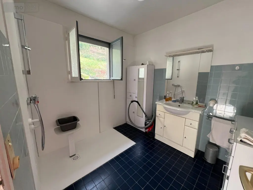 Maison a vendre Beaumont-le-Roger 27170 Eure 27 95 m2 5 pièces 158000 euros 03780 010
