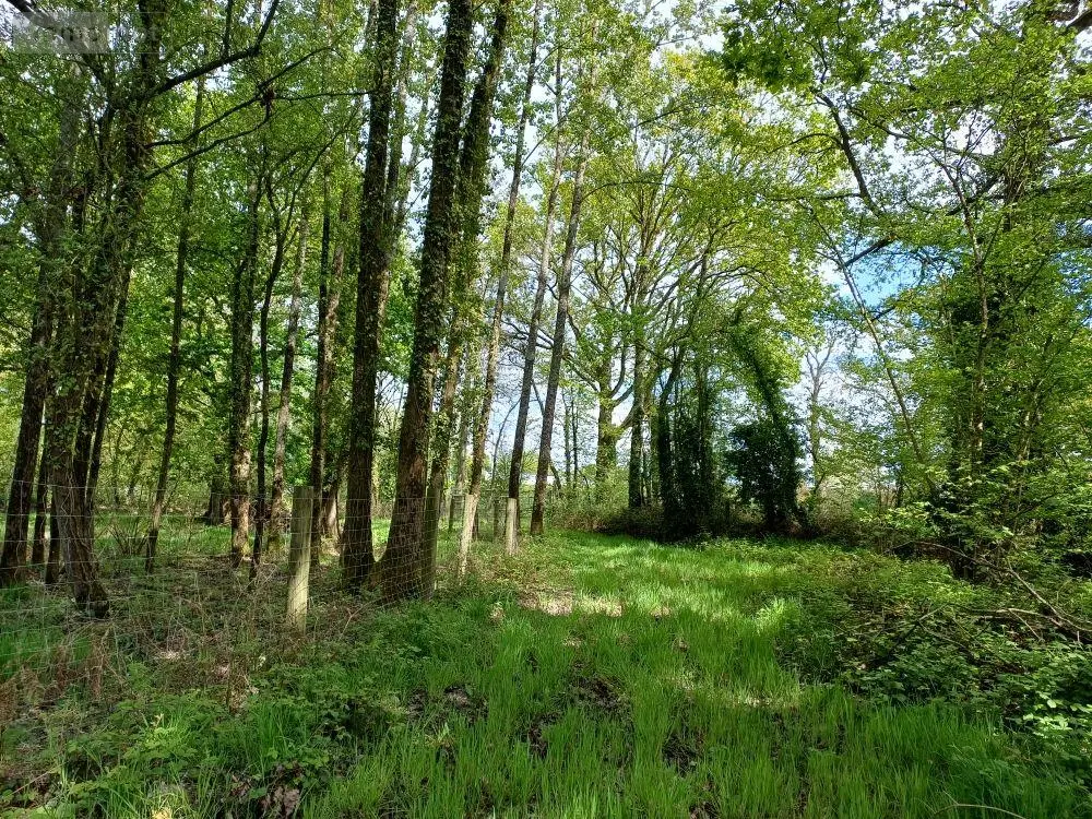 Terrains de loisirs bois etangs a vendre Quévert 22100 Côtes-d'Armor 22 105580 euros 037/988 004