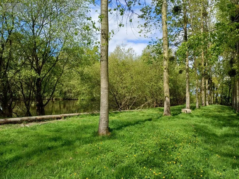 Terrains de loisirs bois etangs a vendre Quévert 22100 Côtes-d'Armor 22 105580 euros 037/988 006