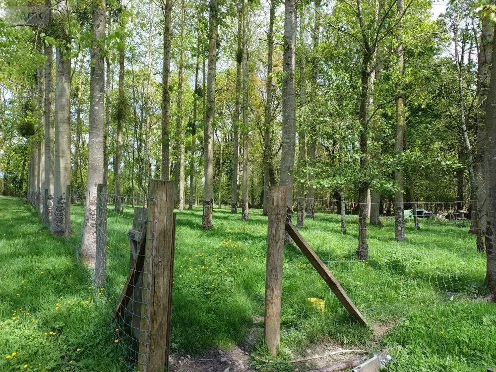 Terrains de loisirs bois etangs a vendre Quévert 22100 Côtes-d'Armor 22 105580 euros 037/988 006