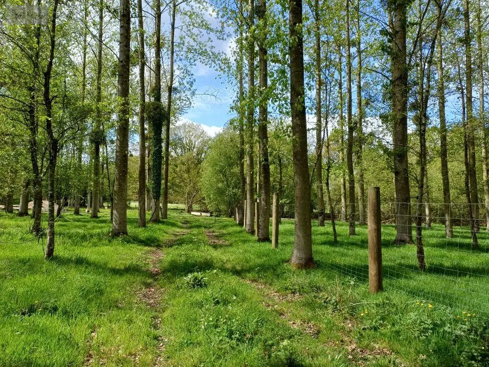 Terrains de loisirs bois etangs a vendre Quévert 22100 Côtes-d'Armor 22 105580 euros 037/988 007