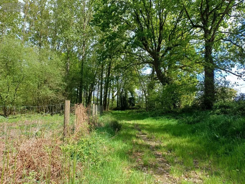 Terrains de loisirs bois etangs a vendre Quévert 22100 Côtes-d'Armor 22 105580 euros 037/988 009