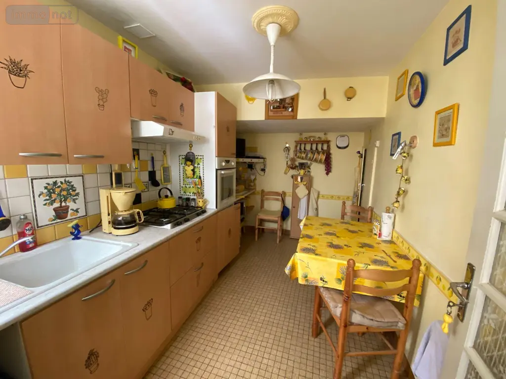 Maison a vendre Châtillon-sur-Indre 36700 Indre 36 103 m2 5 pièces 53000 euros 1052543 002