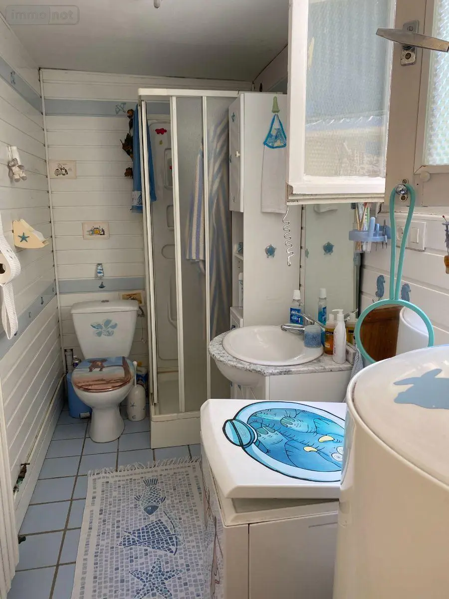 Maison a vendre Châtillon-sur-Indre 36700 Indre 36 103 m2 5 pièces 53000 euros 1052543 005