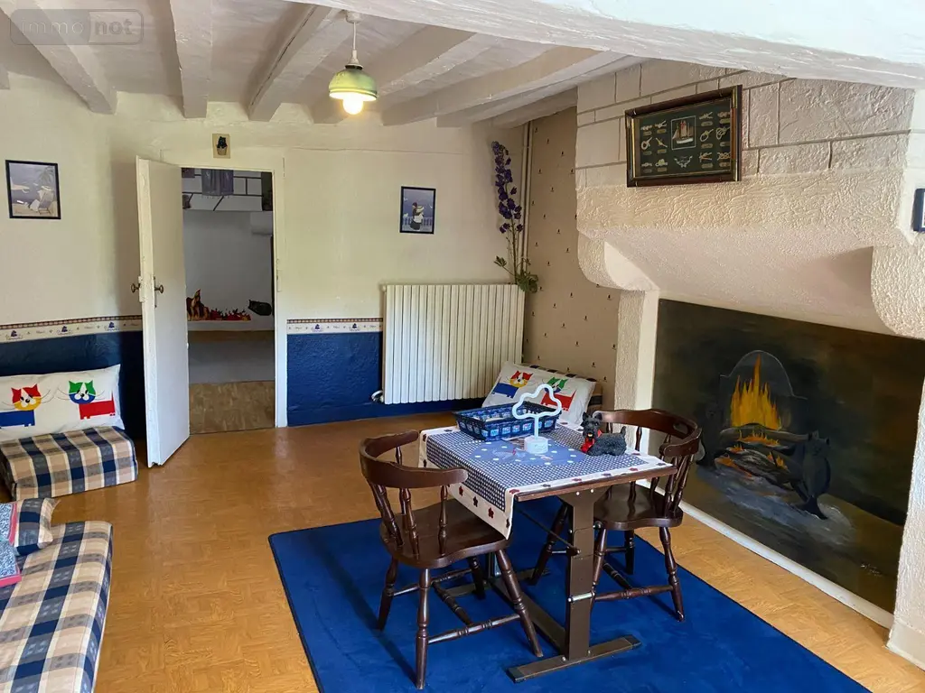 Maison a vendre Châtillon-sur-Indre 36700 Indre 36 103 m2 5 pièces 53000 euros 1052543 007