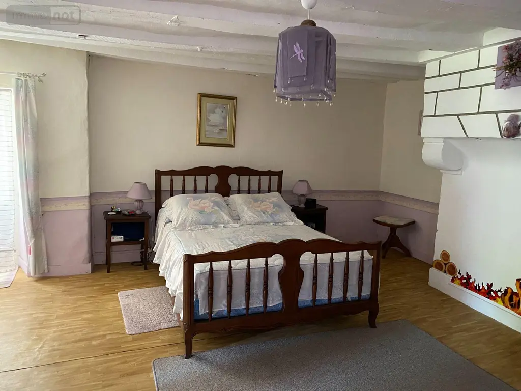 Maison a vendre Châtillon-sur-Indre 36700 Indre 36 103 m2 5 pièces 53000 euros 1052543 008