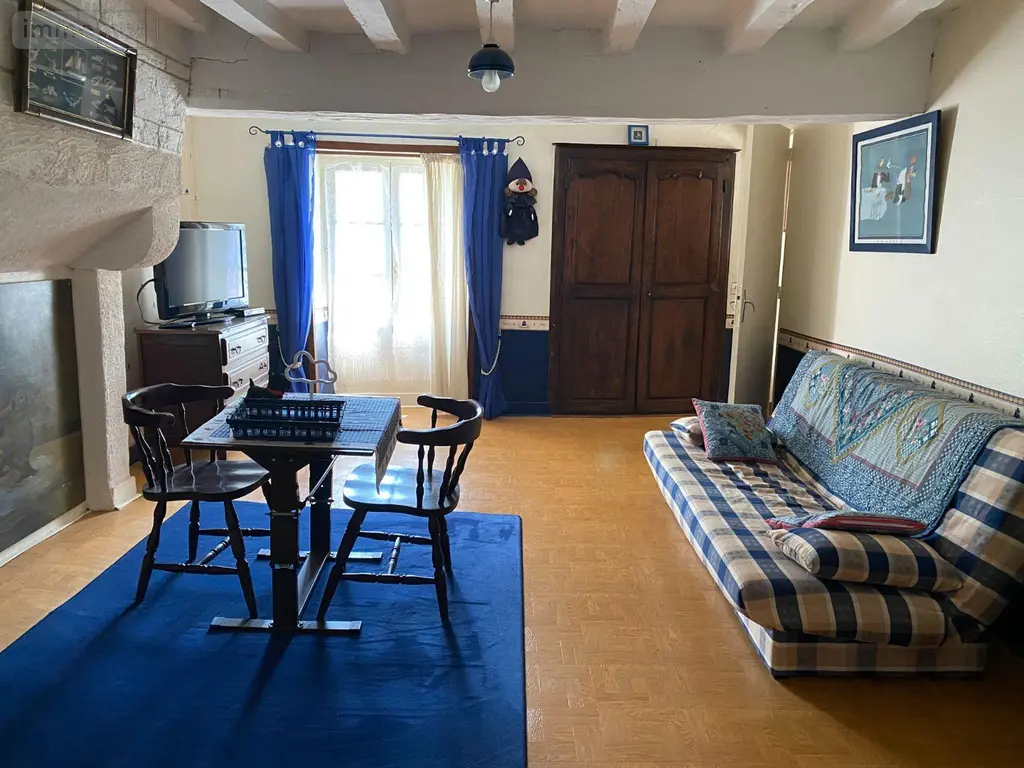 Maison a vendre Châtillon-sur-Indre 36700 Indre 36 103 m2 5 pièces 53000 euros 1052543 004