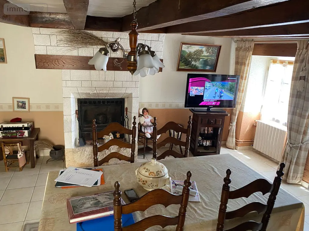 Maison a vendre Châtillon-sur-Indre 36700 Indre 36 103 m2 5 pièces 53000 euros 1052543 003