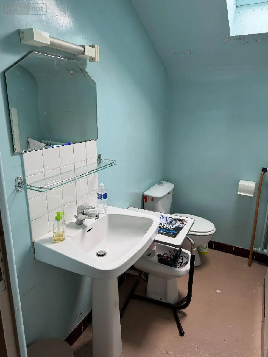 Maison a vendre Mauriac 15200 Cantal 15 10 pièces 212000 euros 15060/1271 010