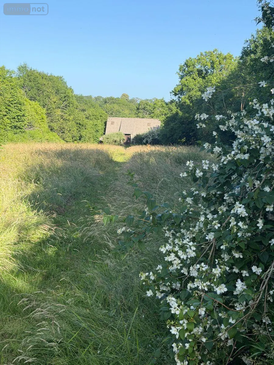 Maison a vendre Mauriac 15200 Cantal 15 10 pièces 212000 euros 15060/1271 015