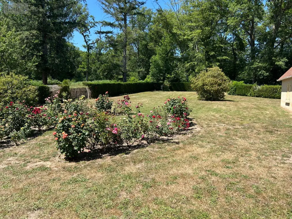 Maison a vendre La Ferté-Saint-Cyr 41220 Loir-et-Cher 41 193 m2 9 pièces 294000 euros 41022/1381 010