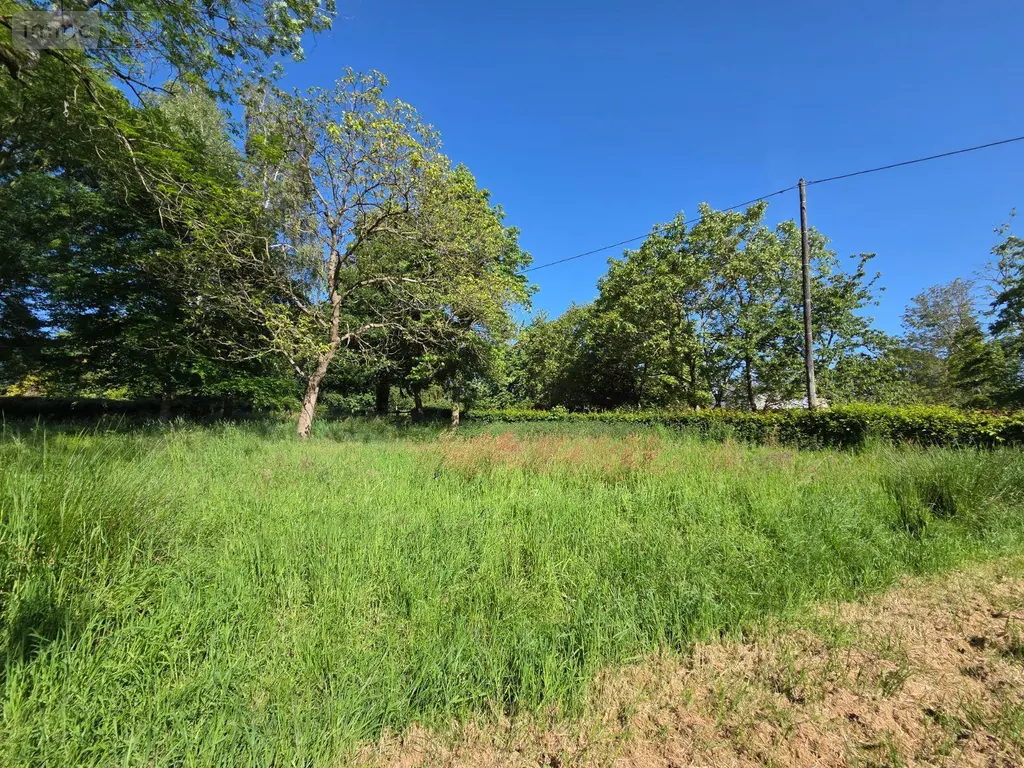 Maison a vendre Villaines-la-Juhel 53700 Mayenne 53 115 m2 7 pièces 146720 euros 1399 025