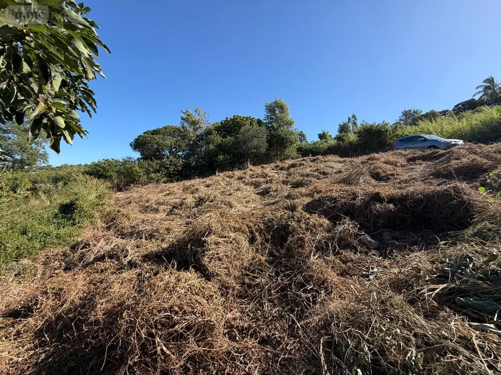 Terrain a batir a vendre Les Avirons 97425 La Réunion 974 160500 euros 97405/299 006