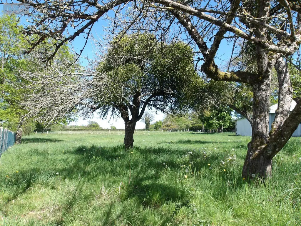 Propriete a vendre Bétête 23270 Creuse 23 90 m2 6 pièces 127920 euros 23010-113681 007