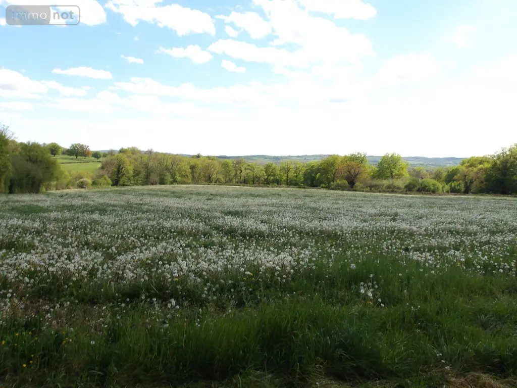 Propriete a vendre Bétête 23270 Creuse 23 90 m2 6 pièces 127920 euros 23010-113681 003