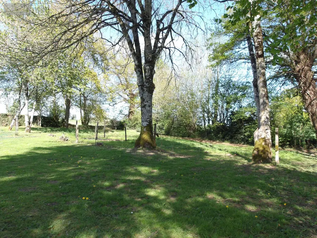 Propriete a vendre Bétête 23270 Creuse 23 90 m2 6 pièces 127920 euros 23010-113681 021