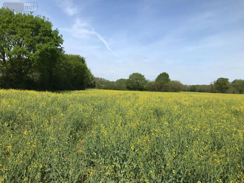 Bien agricole a vendre Torcé-en-Vallée 72110 Sarthe 72 39960 euros 079/2026 002