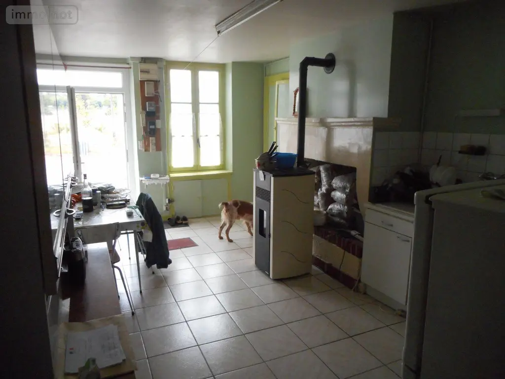 Maison a vendre Sainte-Lizaigne 36260 Indre 36 58 m2 2 pièces 28000 euros 11813/1527 002
