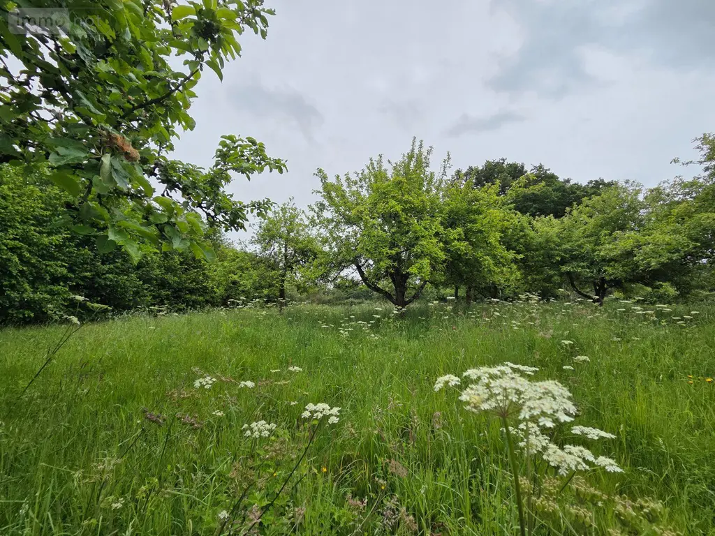 Maison a vendre Villaines-la-Juhel 53700 Mayenne 53 52 m2 2 pièces 37100 euros 1401 003