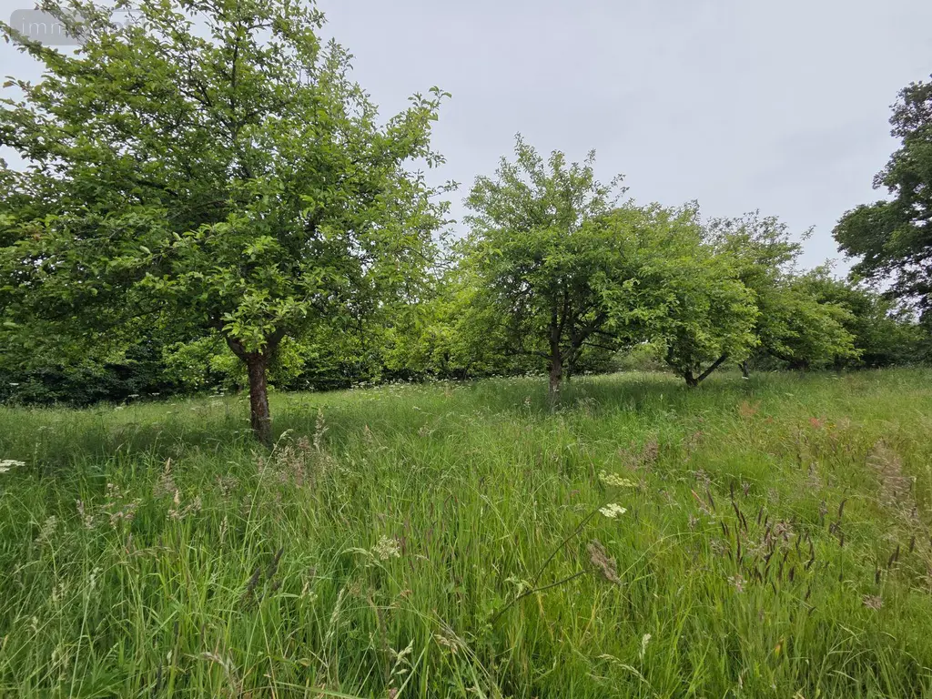 Maison a vendre Villaines-la-Juhel 53700 Mayenne 53 52 m2 2 pièces 37100 euros 1401 004