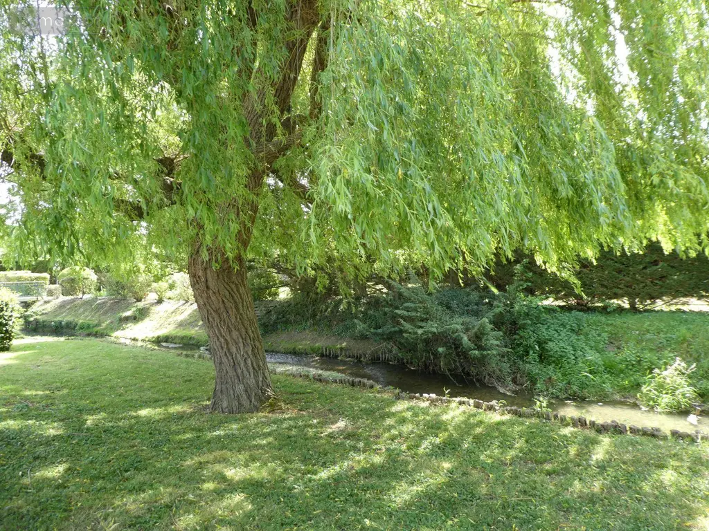 Maison a vendre Veuzain-sur-Loire 41150 Loir-et-Cher 41 160 m2 334430 euros 11893/511 002