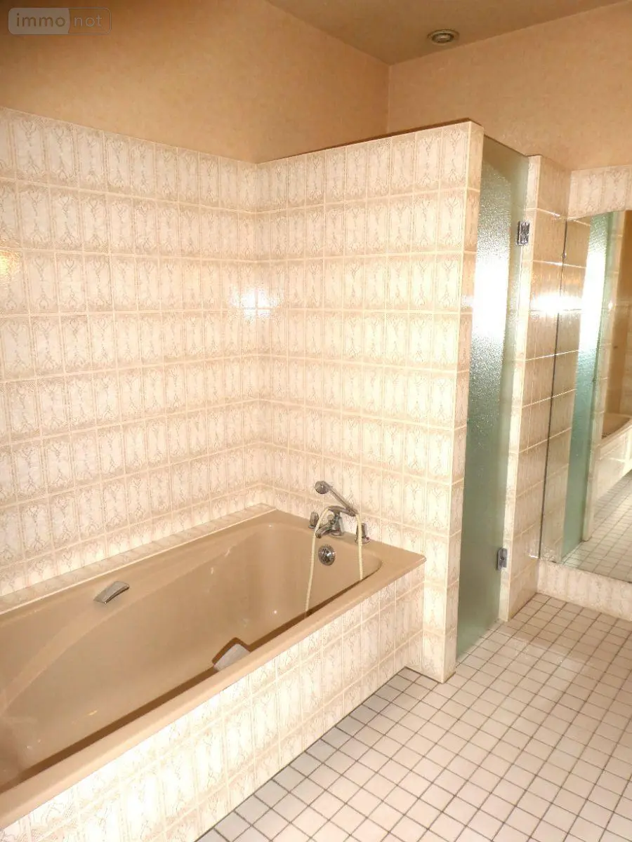 Maison a vendre Veuzain-sur-Loire 41150 Loir-et-Cher 41 160 m2 334430 euros 11893/511 012