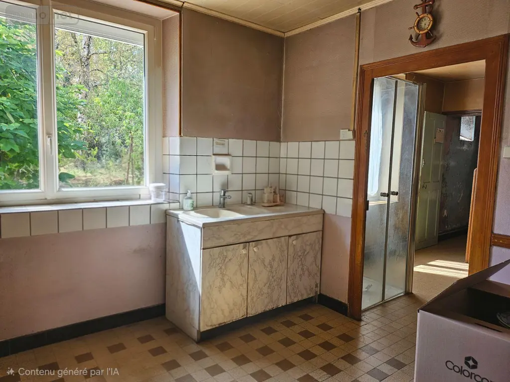 Maison a vendre Vallenay 18190 Cher 18 160 m2 5 pièces 80400 euros LA/61 006