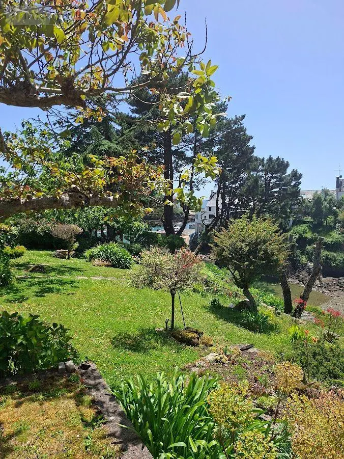 Maison a vendre Clohars-Carnoët 29360 Finistère 29 134 m2 935100 euros 29114-179 004
