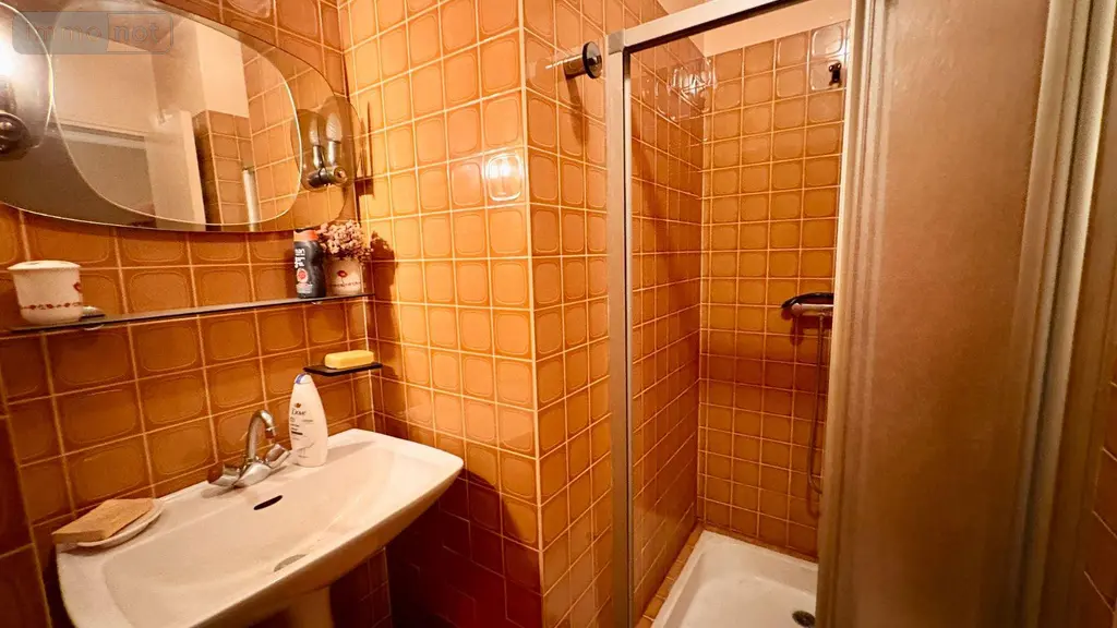 Maison a vendre La Ferté-Imbault 41300 Loir-et-Cher 41 105 m2 4 pièces 158100 euros 044/2075 008
