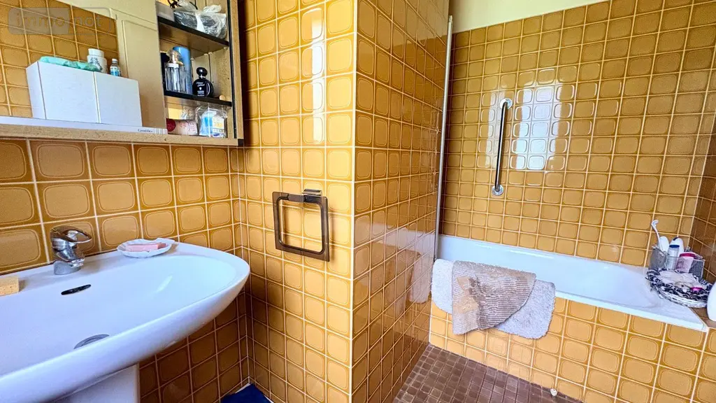 Maison a vendre La Ferté-Imbault 41300 Loir-et-Cher 41 105 m2 4 pièces 158100 euros 044/2075 007